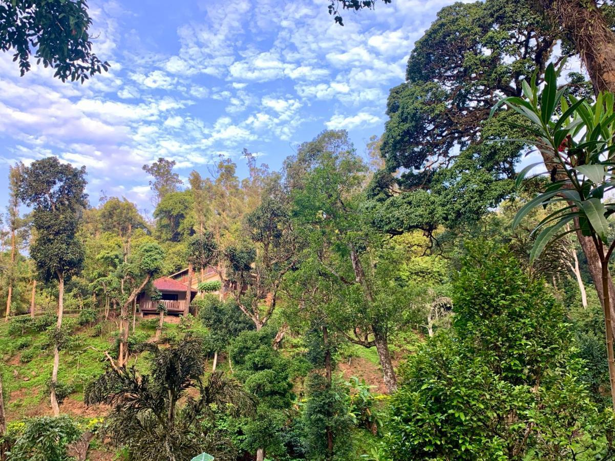 Serene Woods Villa Madikeri Exterior photo