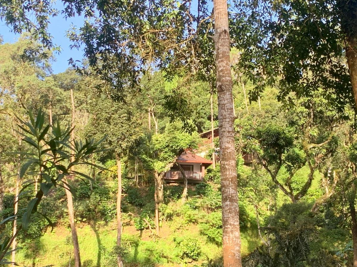 Serene Woods Villa Madikeri Exterior photo