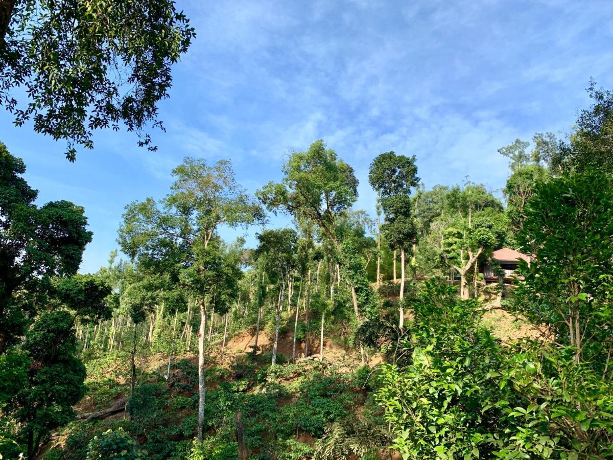 Serene Woods Villa Madikeri Exterior photo